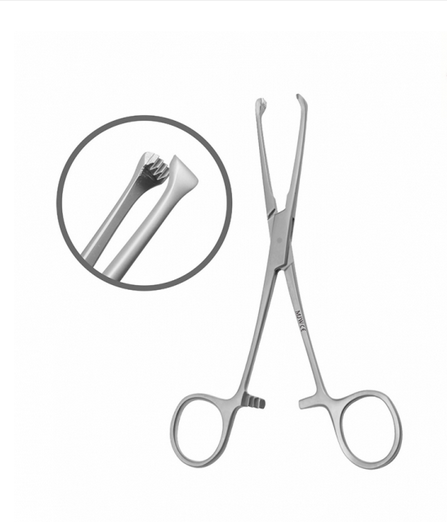Allis Tissue Forceps