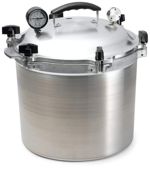 Autoclave Portable Steam Sterilizer