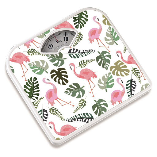 Camry Analog Bathroom Weight Scale BR2019