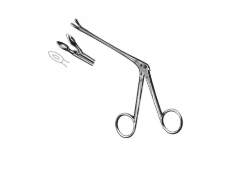 Heanckel Forceps
