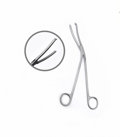 Lifter Forceps