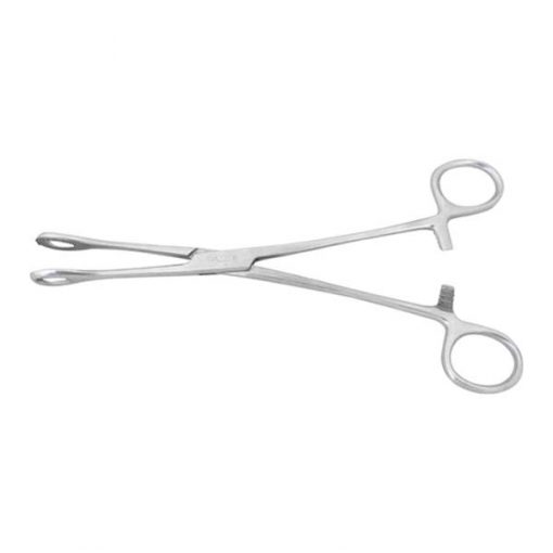Sponge Holding Forceps AIZ