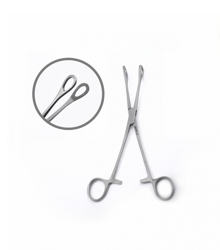 Sponge Holding Forceps  Foerster